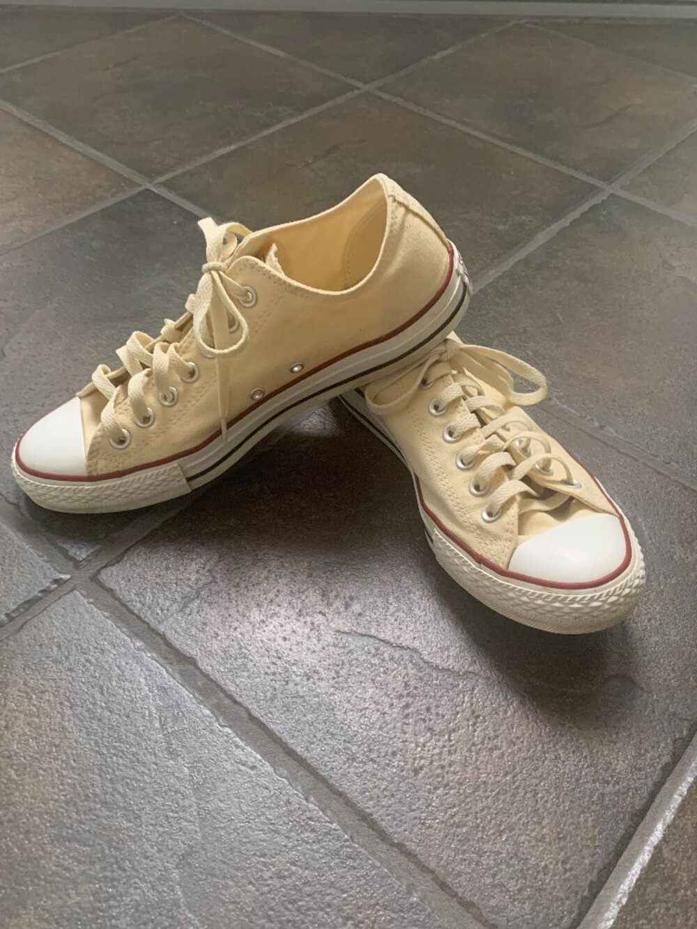 CONVERSE ALL STARS low top sneakers